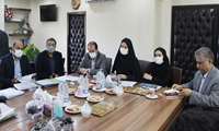 چهارمین جلسه کارگروه واگذاری خدمات  در دانشگاه علوم پزشکی گیلان برگزار شد