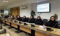 برگزاری کارگاه بازآموزی کالاها و اقدامات آسیب‌رسان به سلامت