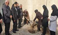  کاشت نهال به نام خیرین در مراکز خدمات جامع سلامت شهرستان رشت