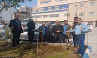 کاشت نهال در مراکز آموزشی و درمانی رشت