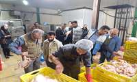 معدوم سازی ۱۵۰ کیلوگرم موادغذایی فاسد در شهرستان رودبار 