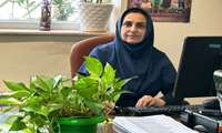 نرخ باروری گیلان به زیر یک رسید؛ بازگشت به وضعیت پایدار بیش از سه دهه زمان می‌برد
