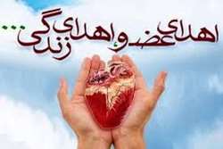 اهدای عضو بانوی گیلانی نجات بخش  جان دو بیمار نیازمند عضو شد