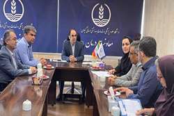 جلسه جهت تصمیم گیری مسئول فنی بخش شیمی درمانی کلینیک بعثت