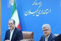 تشکیل نخستین کارگروه تخصصی پیشگیری از خودکشی در گیلان