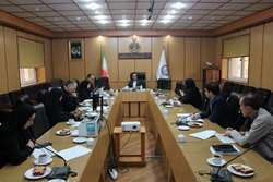 برگزاری نشست کارگروه فرعی رفع‌اختلاف دانشگاه علوم پزشکی در آبان‌ماه سال ۱۴۰۴