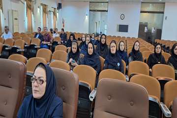 کارگاه دو روزه آموزشی مدیریت حل مسأله