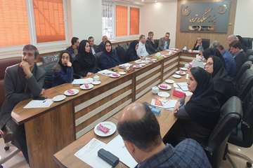 برگزاری سومین جلسه کارگروه تدوین برنامه راهبردی سازمان‌های مردم‌نهاد حوزه سلامت