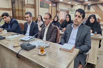 شورای سلامت