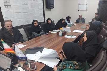 بررسی علل فوت کودک  زیریکسال در شفت