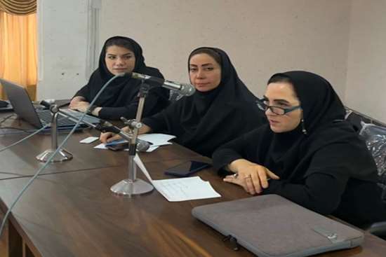 برگزاری کارگاه آموزشی سئو و تولید محتوا برای ارتقای جایگاه دیجیتال دانشگاه علوم پزشکی گیلان 
