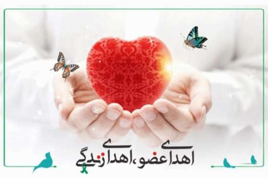 هفدهمین اهدای عضو دانشگاه علوم پزشکی گیلان  