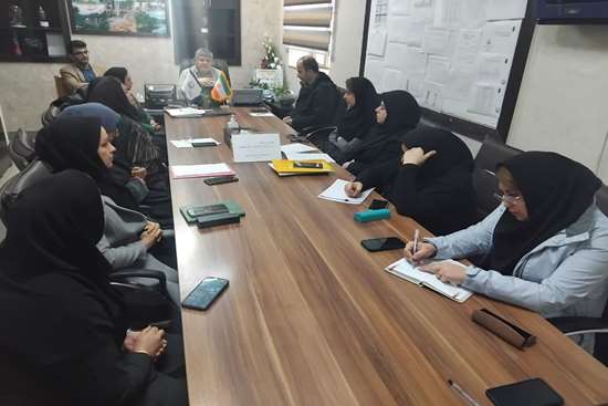 بررسی علل فوت کودک  زیریکسال در شفت 